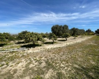 Revente - Villa - Guardamar del Segura - Costa Blanca
