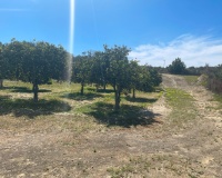 Revente - Villa - Guardamar del Segura - Guardamar del Segura Centro
