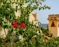 Revente - Villa - Jalon - Jalon Centro