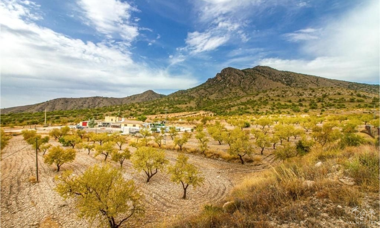 Revente - Villa - Jumilla - Inland