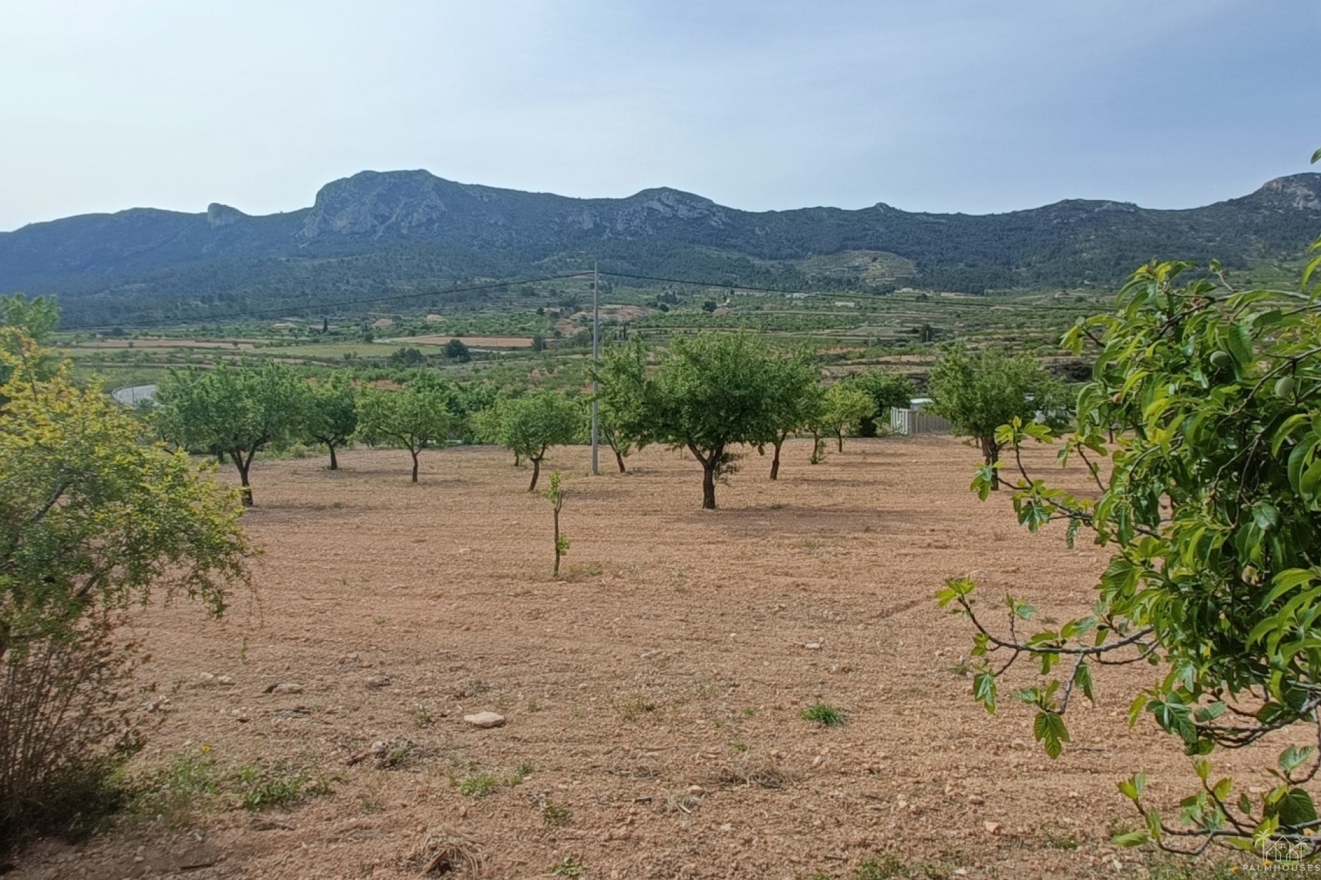 Revente - Villa - La Romana - Inland