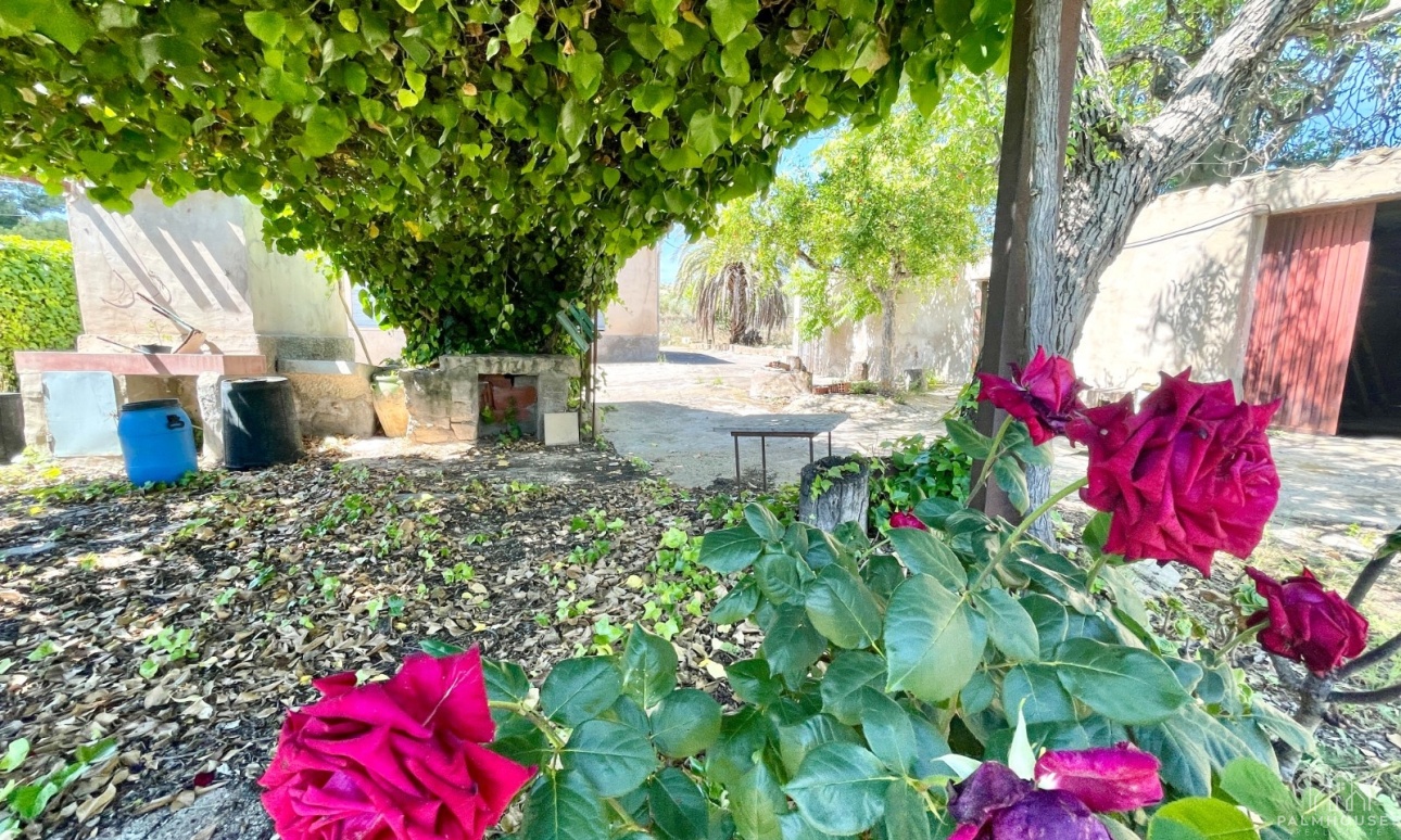 Revente - Villa - La Romana - Inland