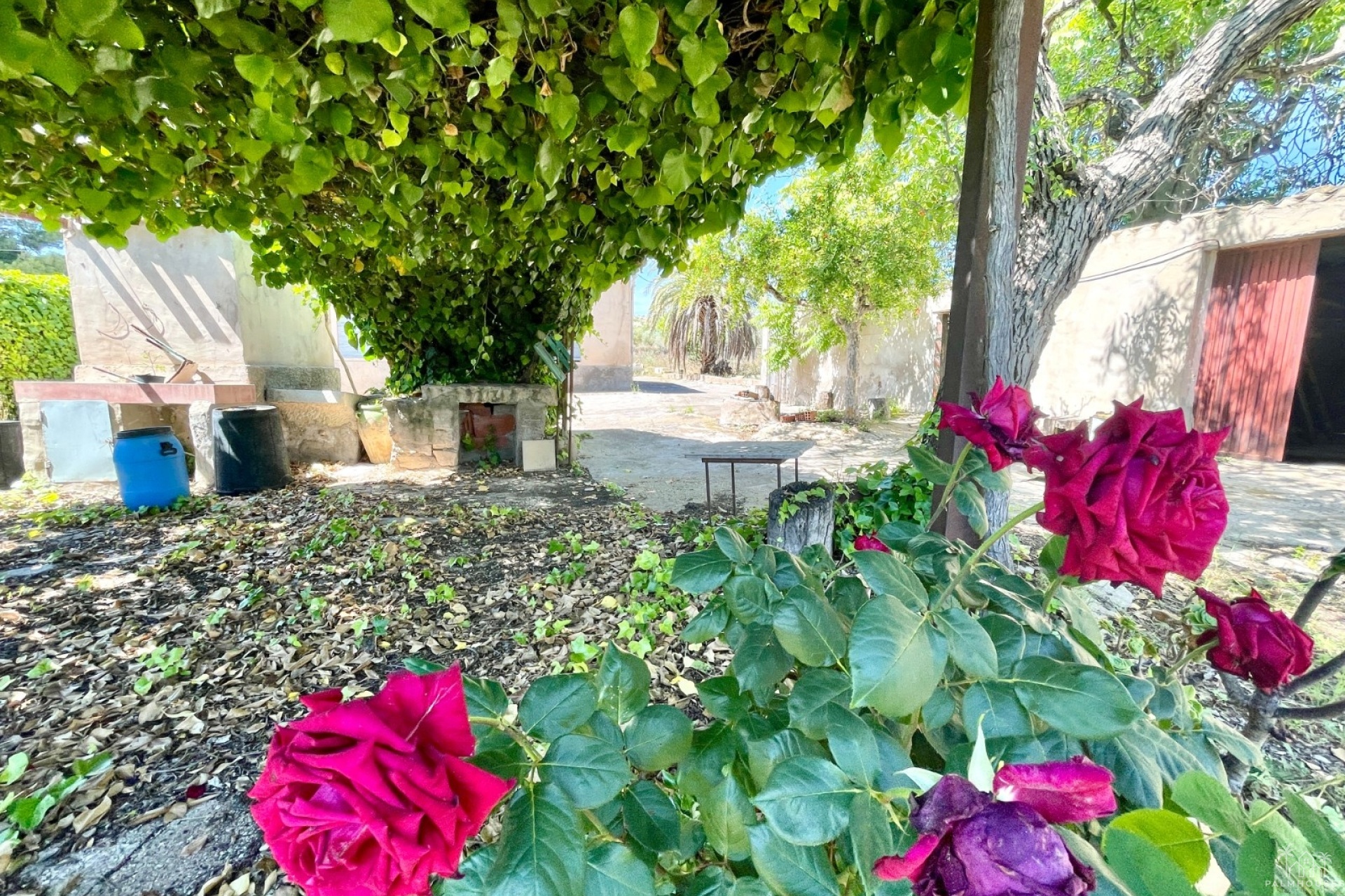 Revente - Villa - La Romana - Villas de la Romana
