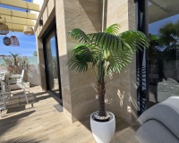 Revente - Villa - Los Montesinos - Los Montesinos Centro