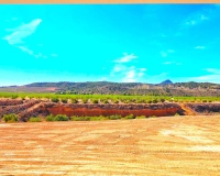 Revente - Villa - Macisvenda - Inland