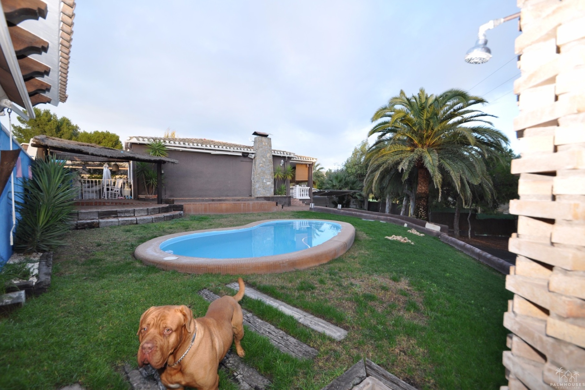Revente - Villa - Monóvar/Monóver - Inland