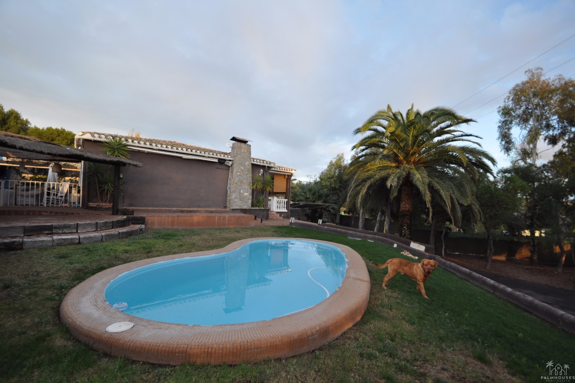 Revente - Villa - Monóvar/Monóver - Inland
