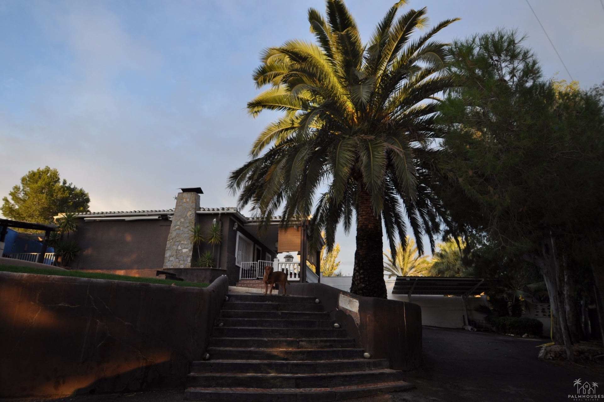 Revente - Villa - Monóvar/Monóver - Inland