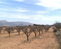 Revente - Villa - Monóvar - Monòver - Monóvar - Monòver Centro