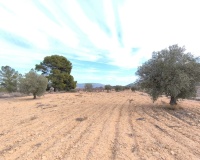 Revente - Villa - Monóvar - Monòver - Monóvar - Monòver Centro