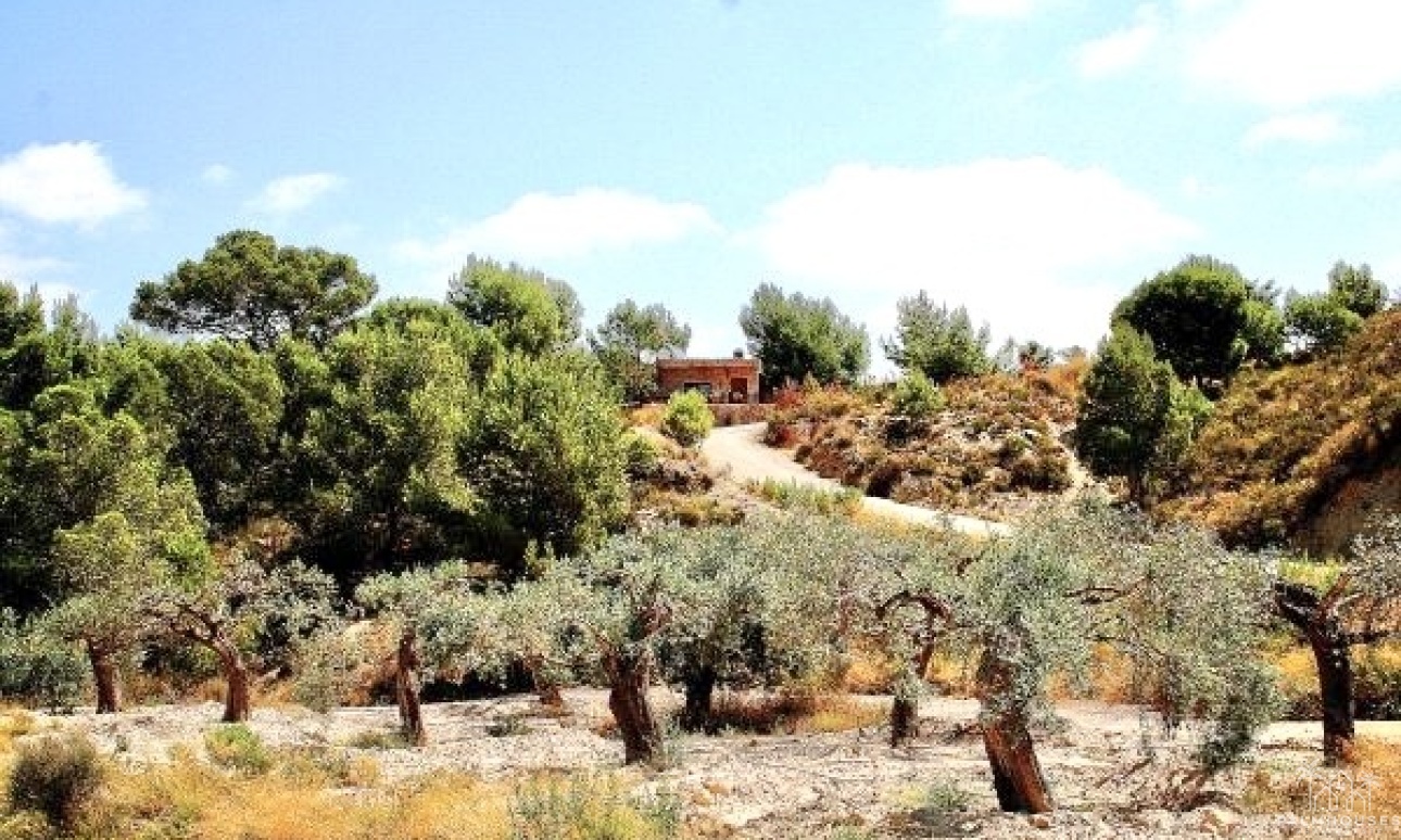 Revente - Villa - Murcia - Inland