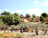 Revente - Villa - Murcia - Inland