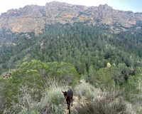 Revente - Villa - Murcia - Inland
