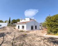 Revente - Villa - Novelda - Inland