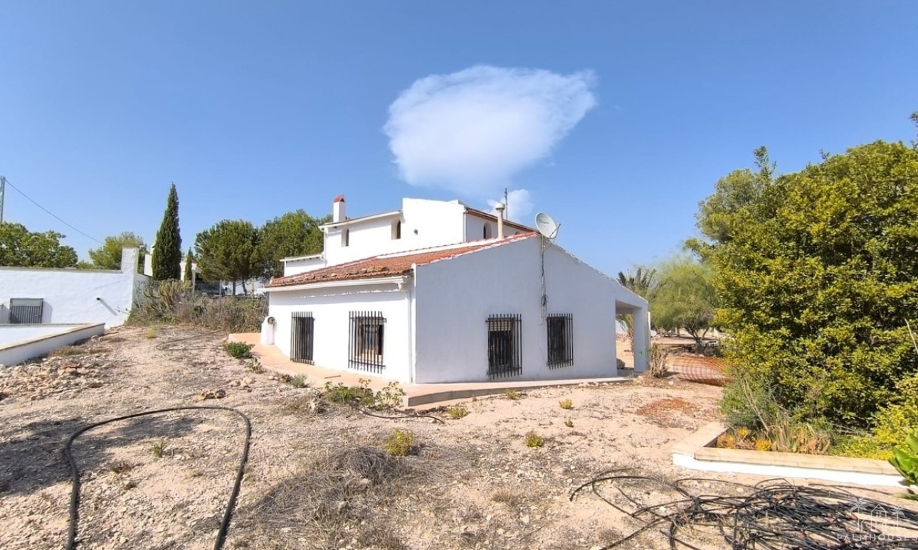 Revente - Villa - Novelda - Novelda Centro