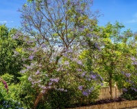 Revente - Villa - Orba - Orba Centro