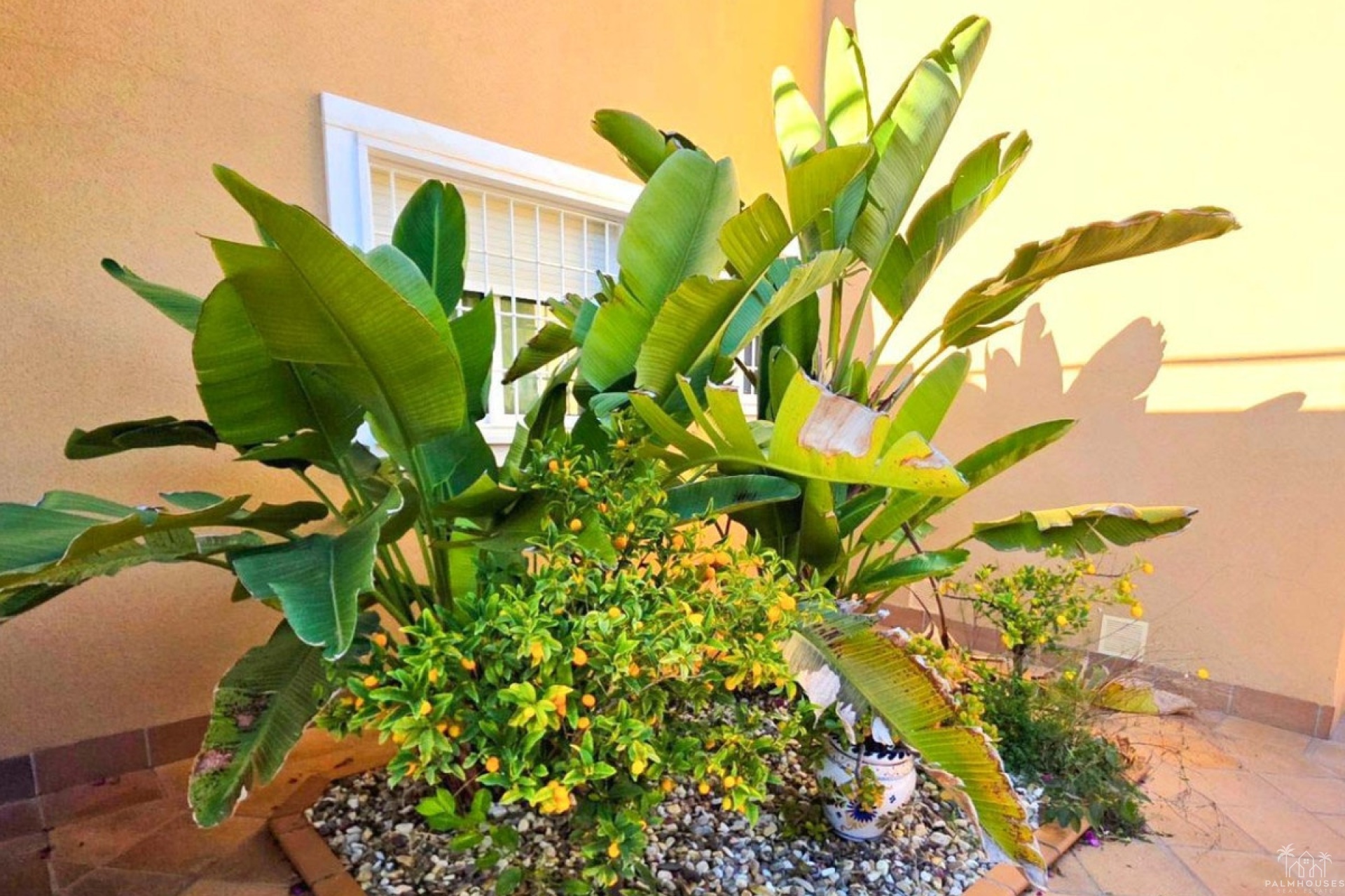 Revente - Villa - Orihuela - Campoamor