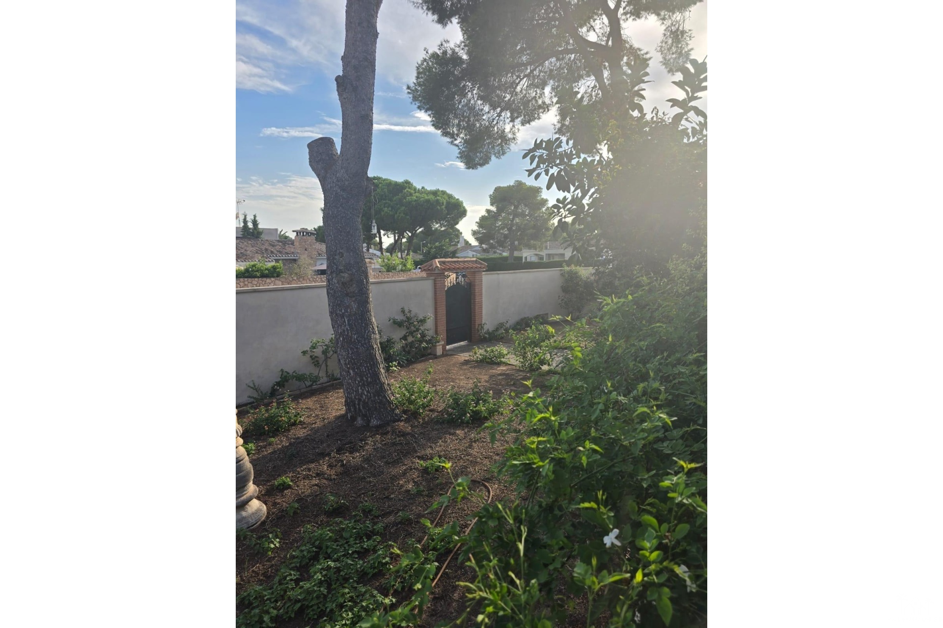 Revente - Villa - Orihuela Costa - Campoamor