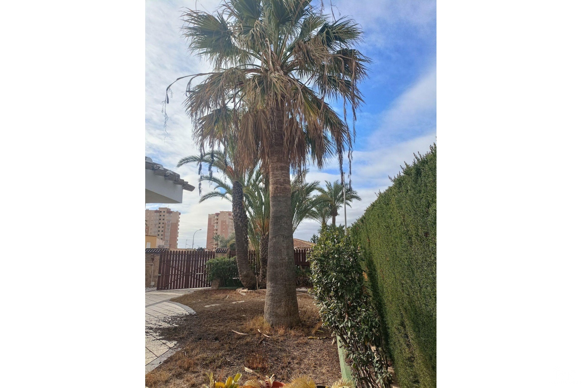 Revente - Villa - Orihuela Costa - Campoamor