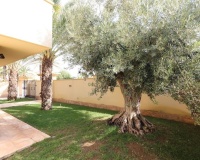 Revente - Villa - Orihuela Costa - Costa Blanca
