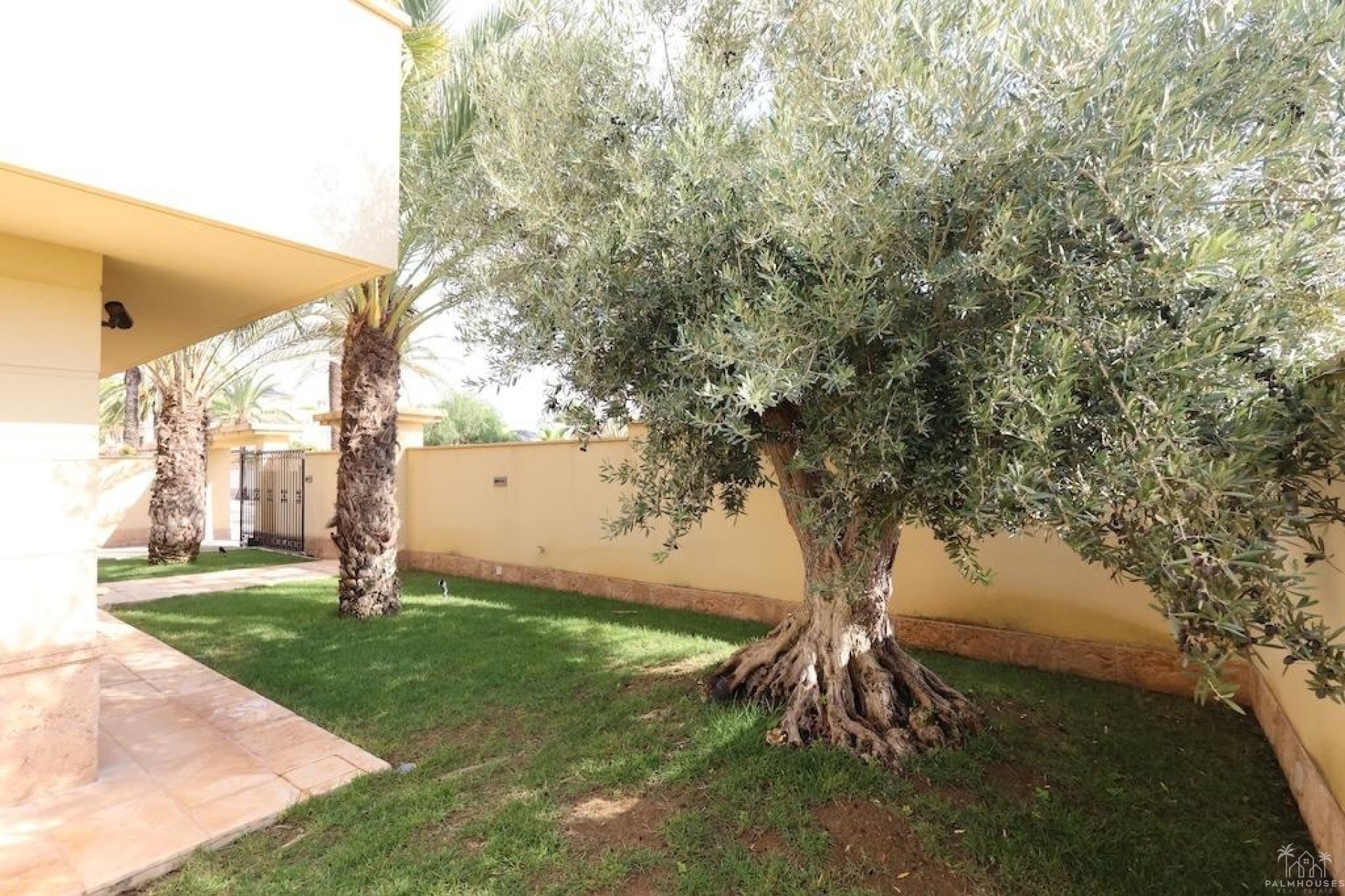 Revente - Villa - Orihuela Costa - Costa Blanca