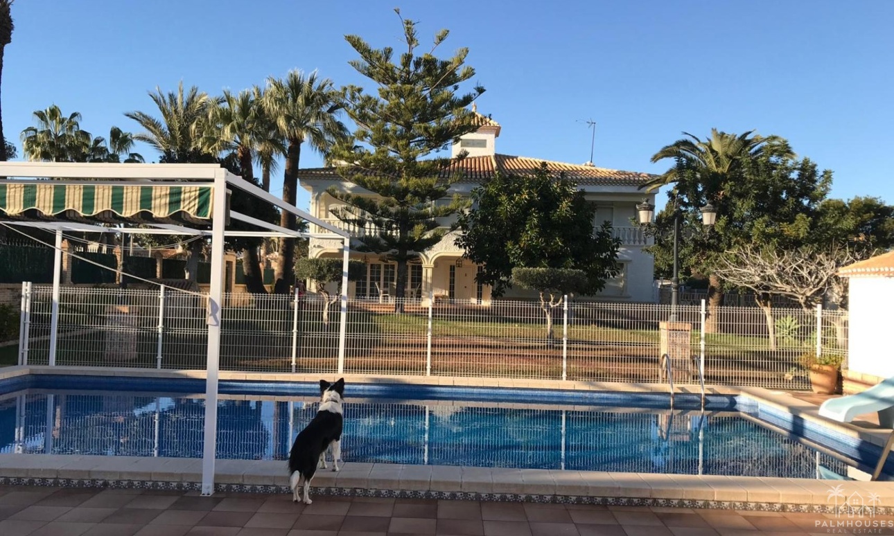 Revente - Villa - Orihuela Costa - Costa Blanca