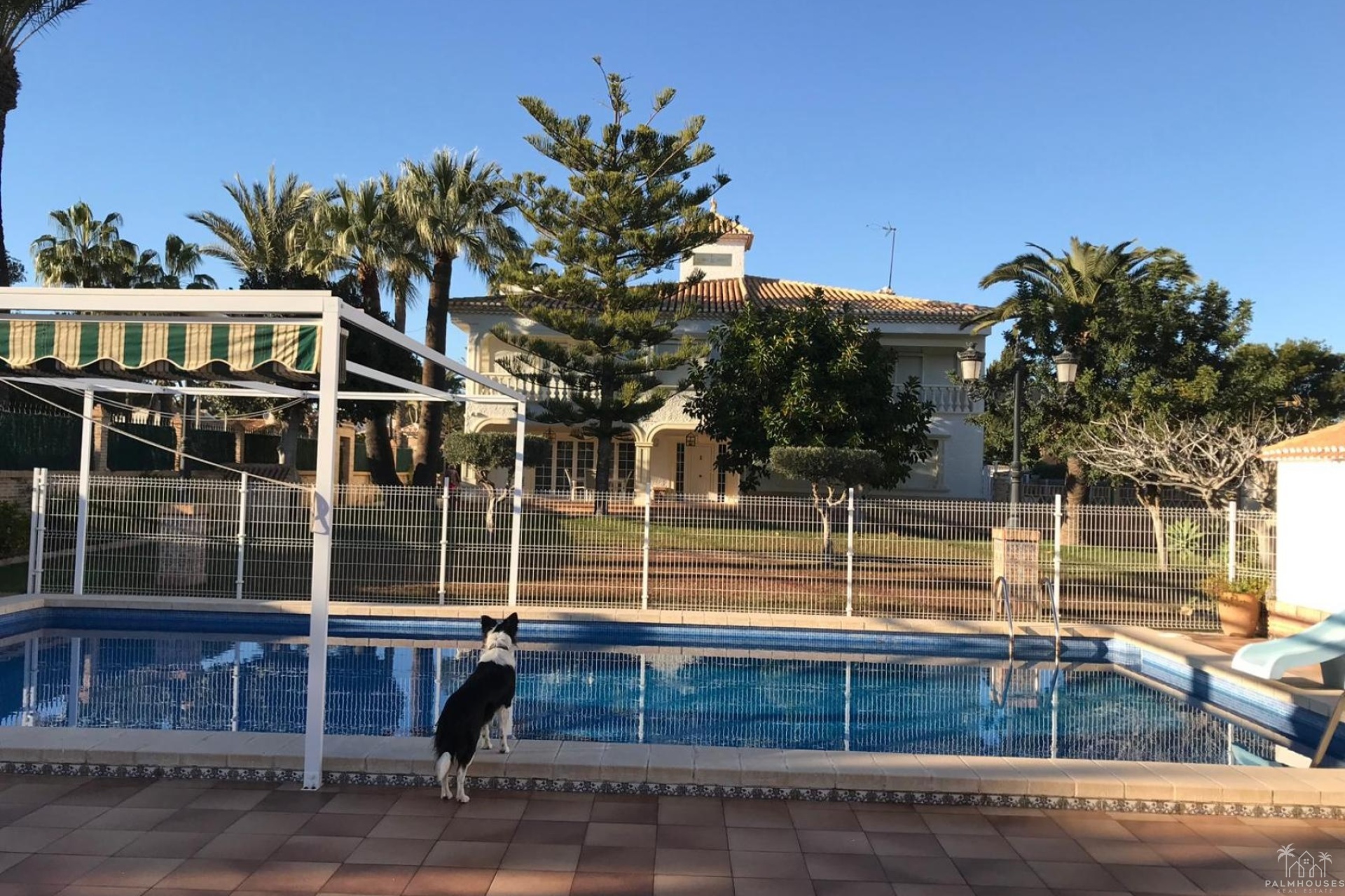 Revente - Villa - Orihuela Costa - Costa Blanca