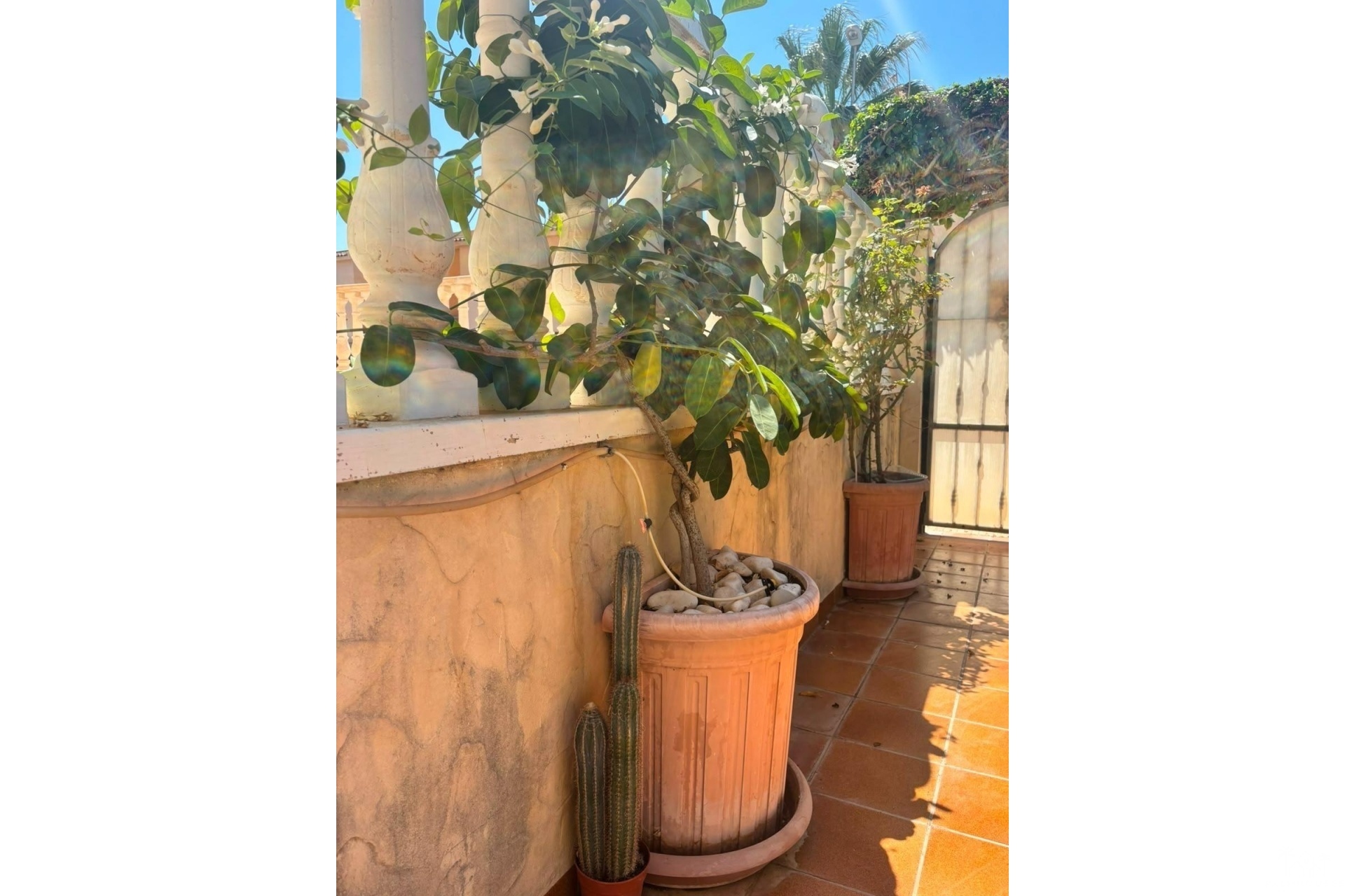 Revente - Villa - Orihuela Costa - Lomas de Cabo Roig