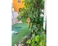 Revente - Villa - Orihuela Costa - Lomas de Cabo Roig