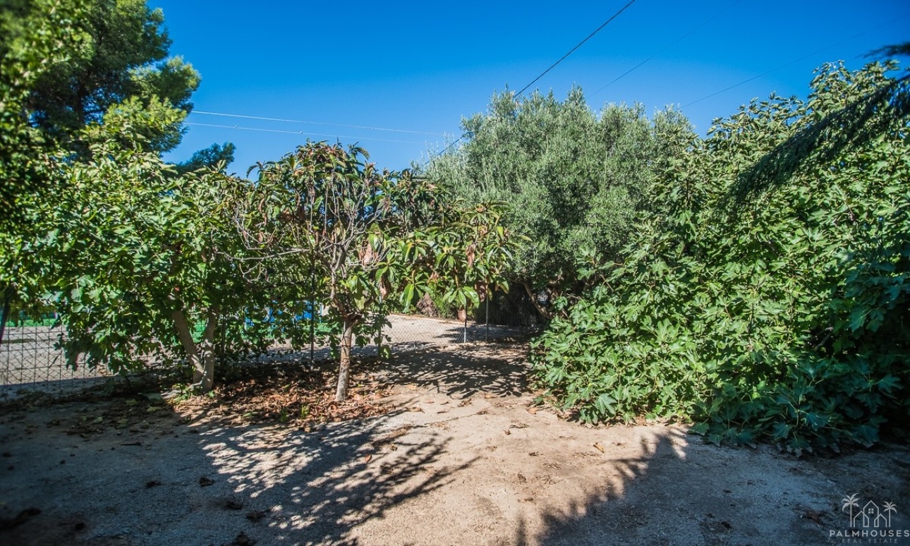 Revente - Villa - Orihuela - Inland