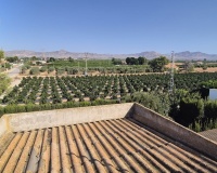 Revente - Villa - Orihuela - Inland