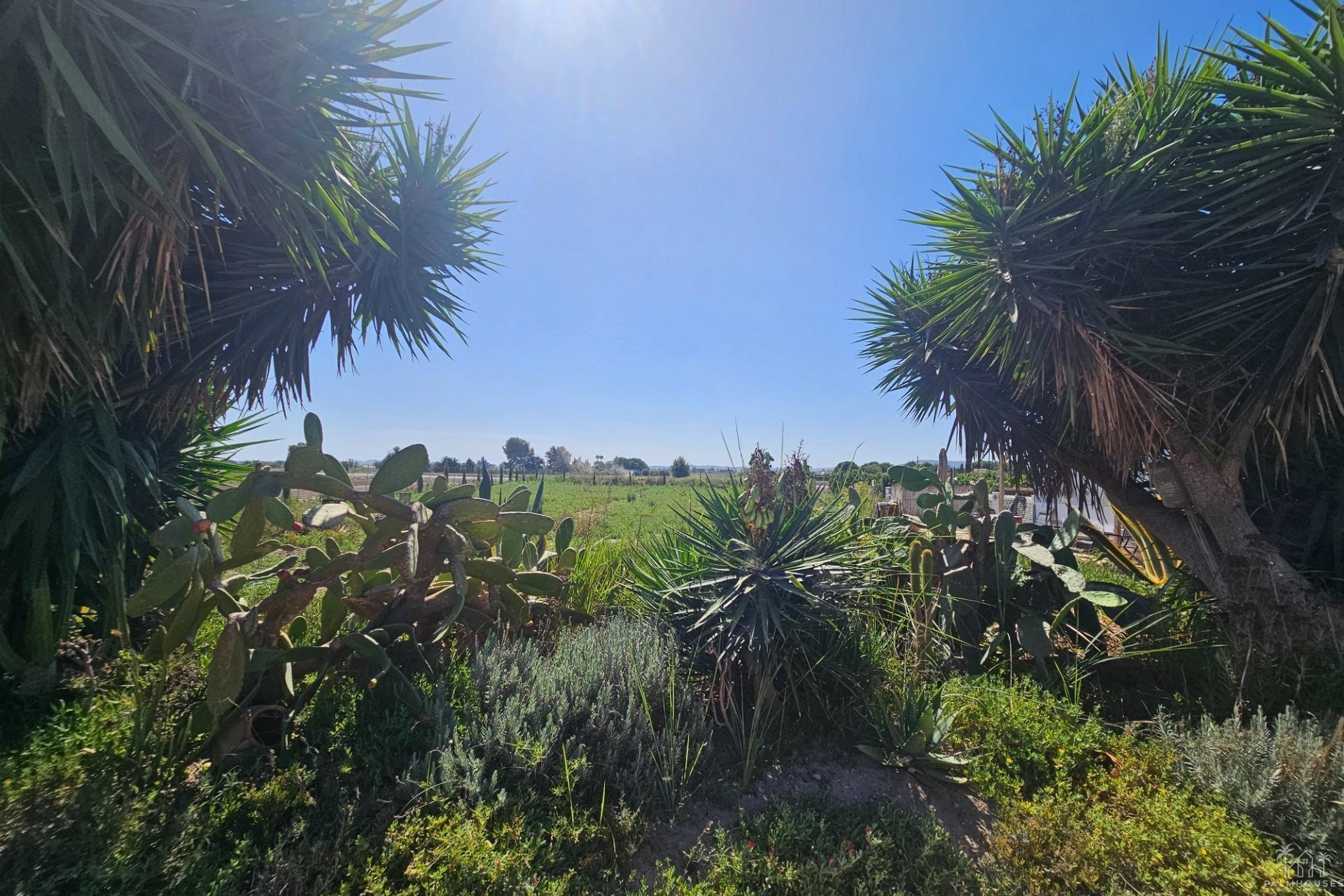 Revente - Villa - Orihuela - Molins-campaneta-san Bartolomé
