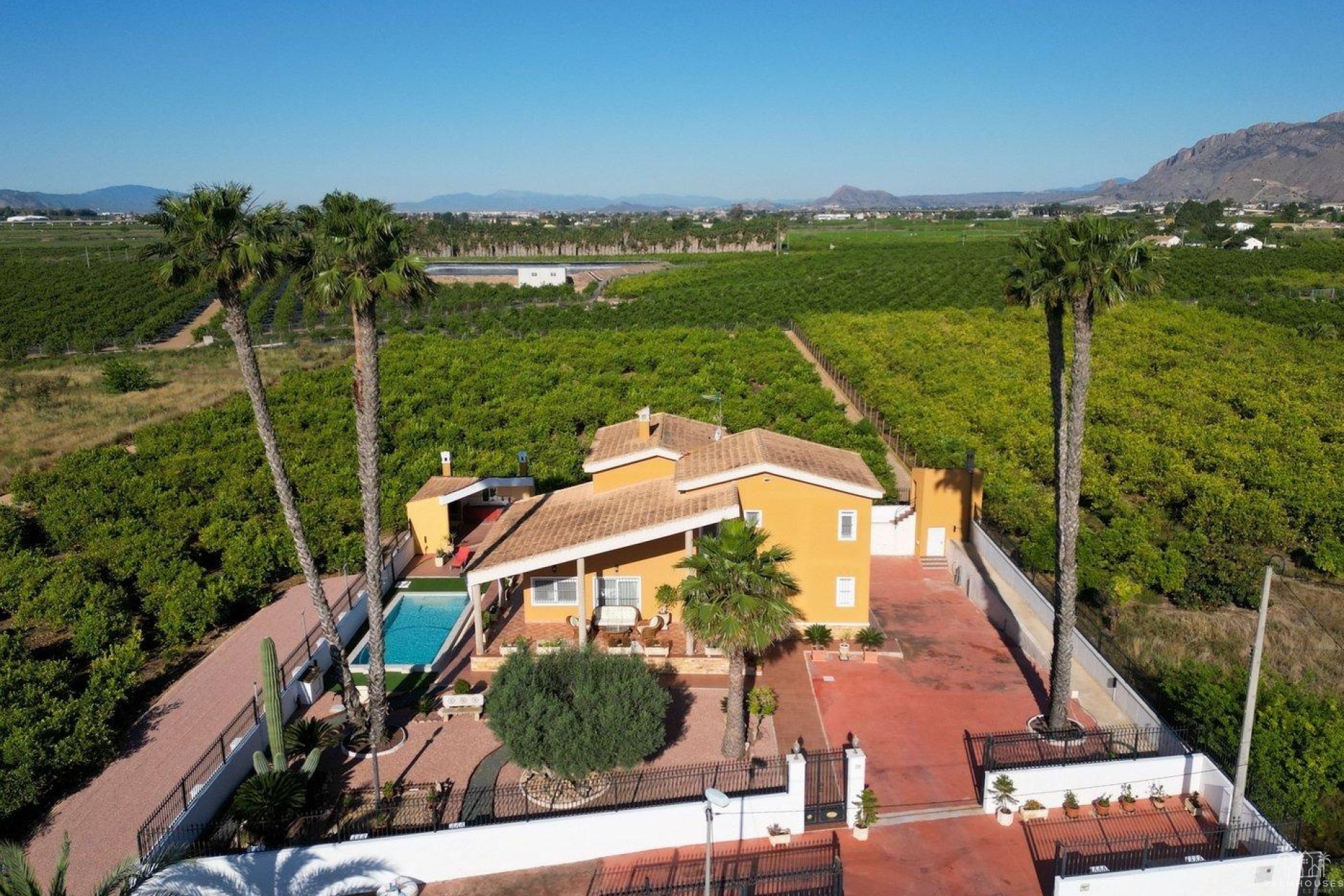 Revente - Villa - Orihuela - Orihuela Ciudad