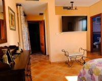 Revente - Villa - Orihuela - Orihuela Ciudad