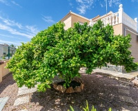 Revente - Villa - Orihuela - Orihuela Costa