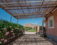 Revente - Villa - Orihuela - San Bartolomé