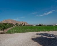 Revente - Villa - Orihuela - San Bartolomé