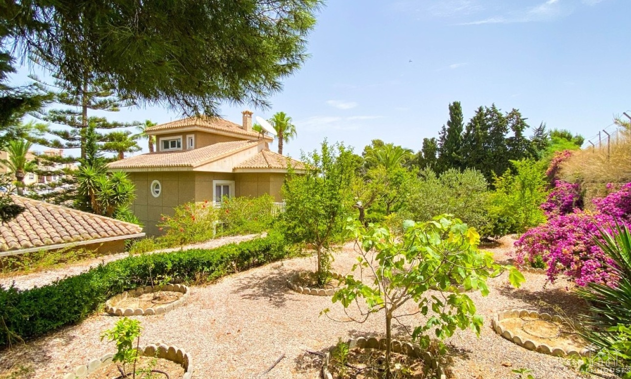 Revente - Villa - Orihuela - Villamartin