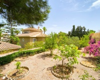 Revente - Villa - Orihuela - Villamartin
