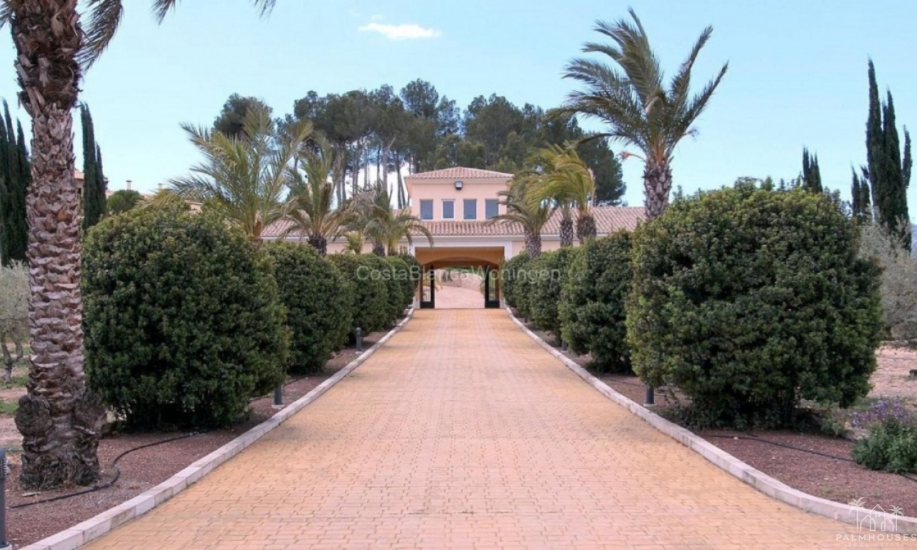 Revente - Villa - Penàguila