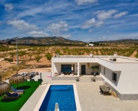 Revente - Villa - Pinoso - Inland
