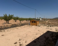 Revente - Villa - Pinoso - Inland