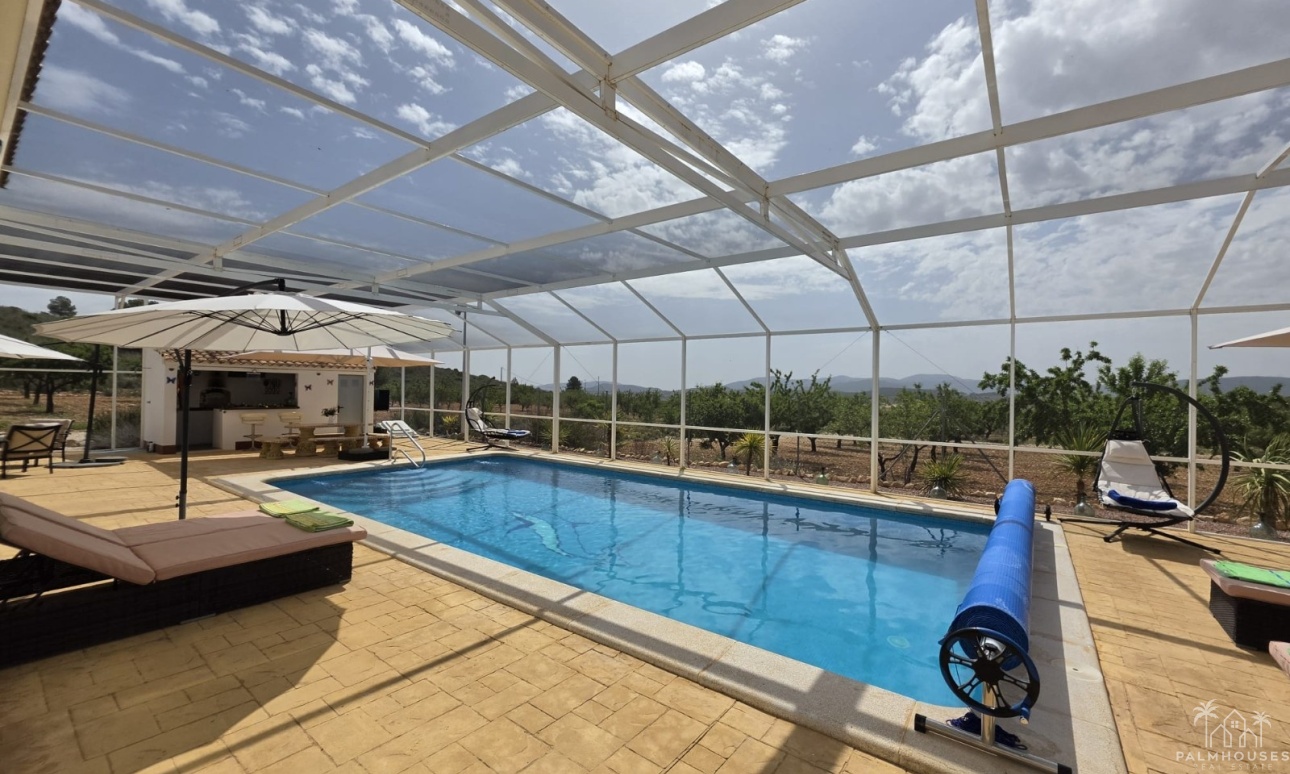 Revente - Villa - Pinoso - Inland