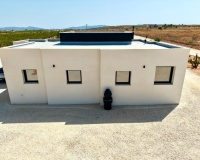 Revente - Villa - Pinoso - Inland