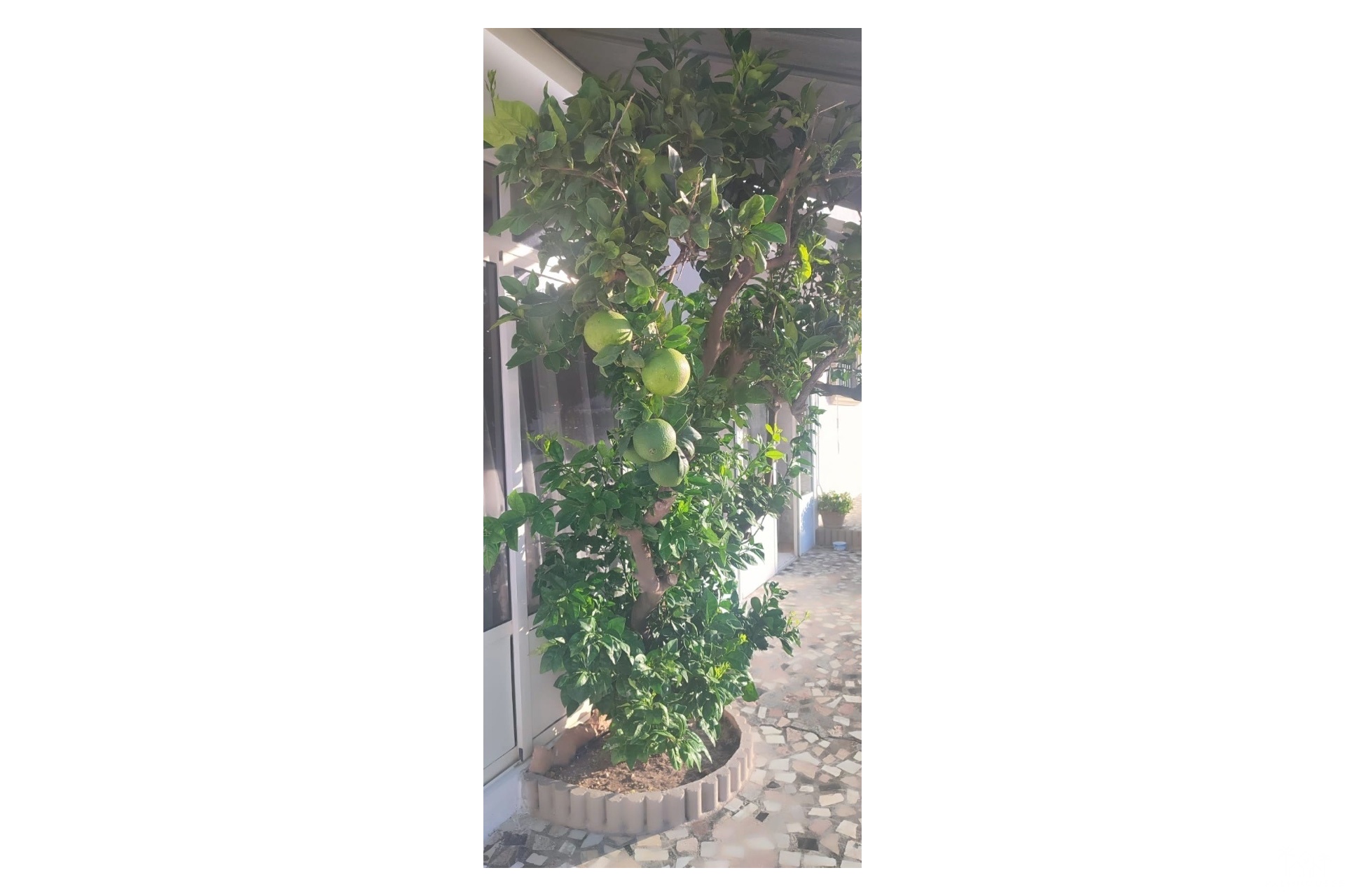 Revente - Villa - Rojales - Ciudad Quesada