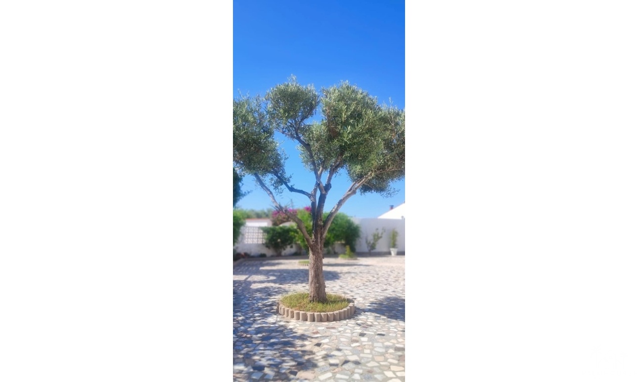 Revente - Villa - Rojales - Ciudad Quesada
