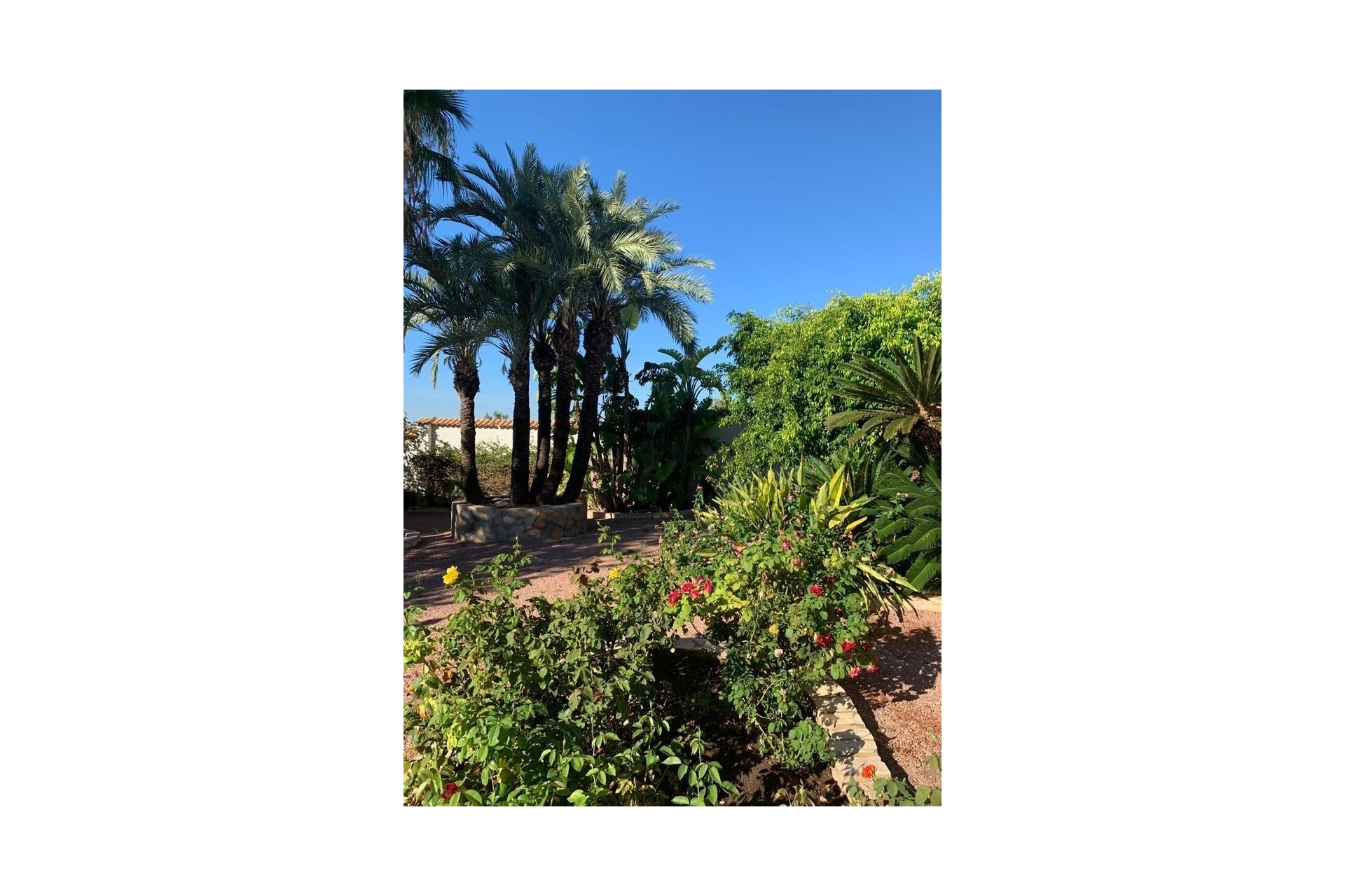 Revente - Villa - Rojales - Ciudad Quesada