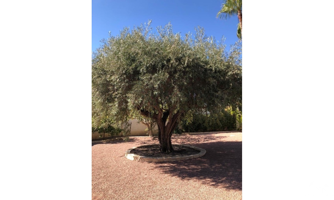 Revente - Villa - Rojales - Ciudad Quesada