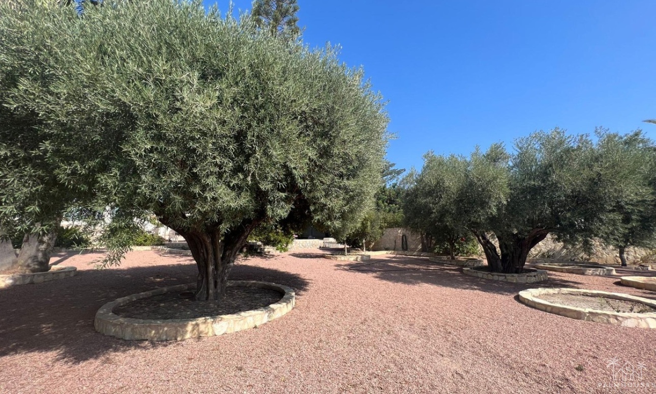 Revente - Villa - Rojales - Ciudad Quesada