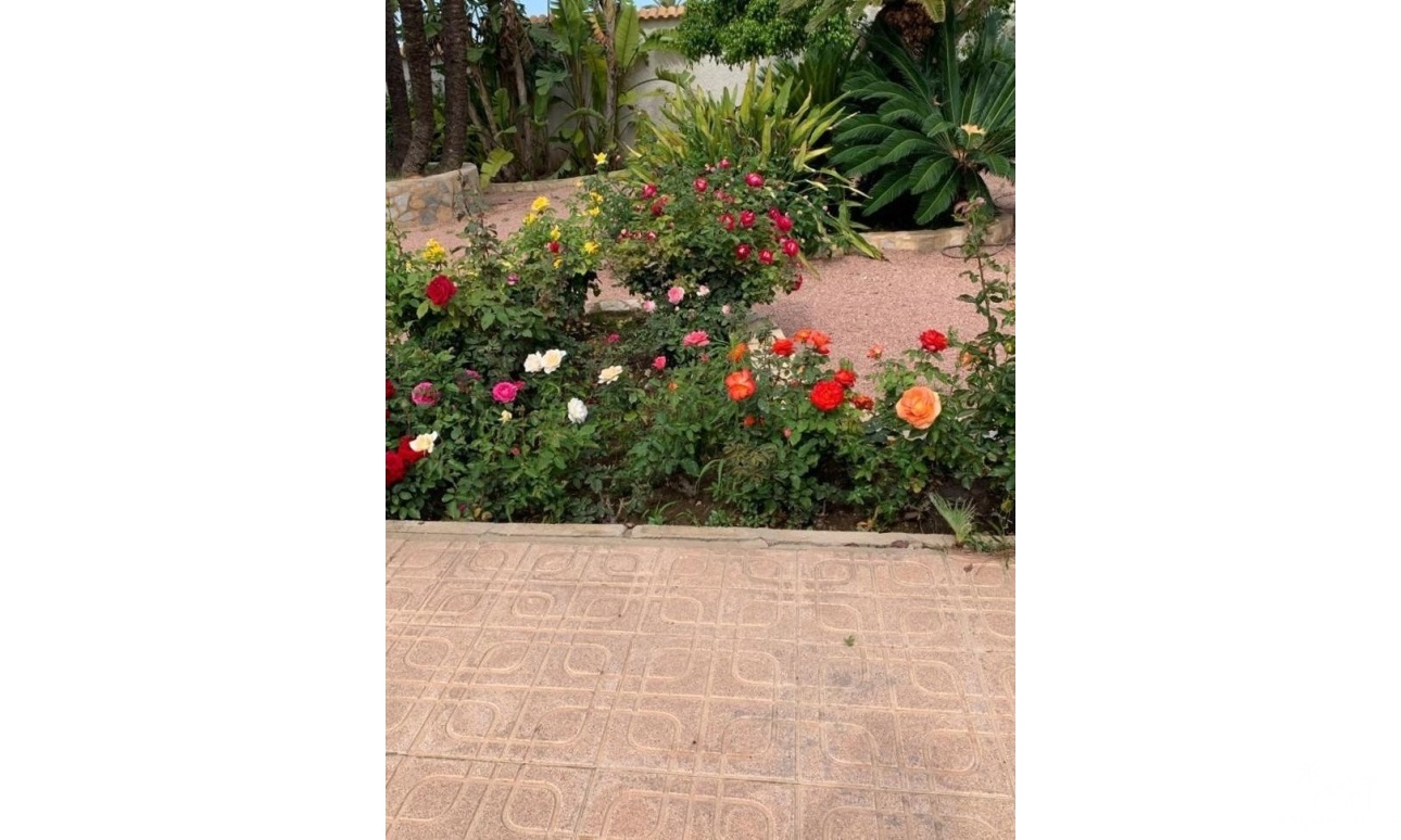 Revente - Villa - Rojales - Ciudad Quesada